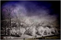 /album/fotogaleria-fotografia-infraroig/a4444444444-8-2-640x480-jpg/